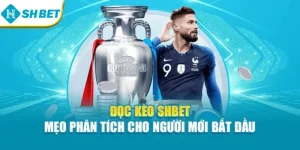 Đọc Kèo Shbet – Mẹo Phân Tích Cho Người Mới Bắt Đầu